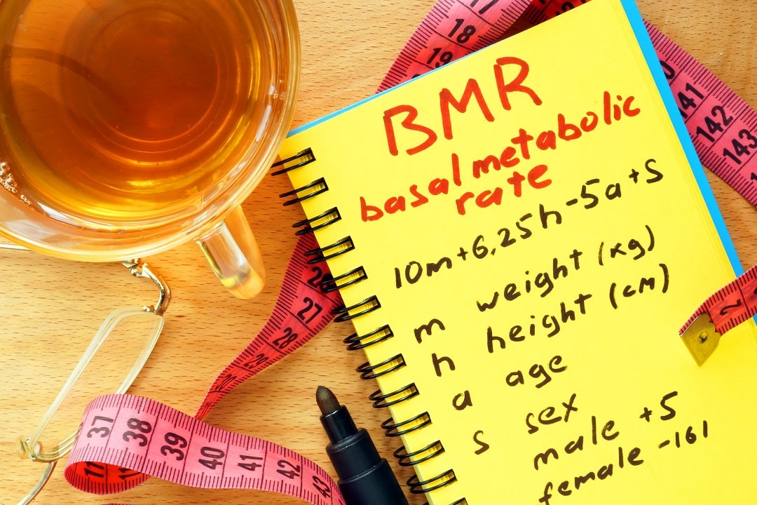 factors that affect bmr