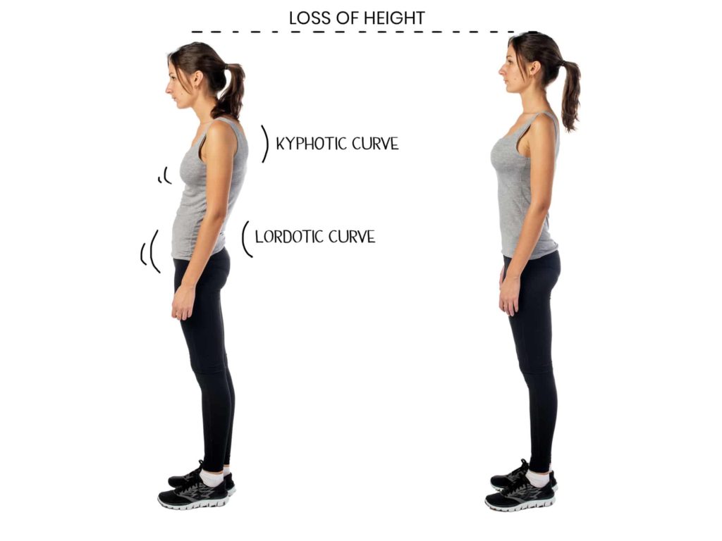 posture height correlation